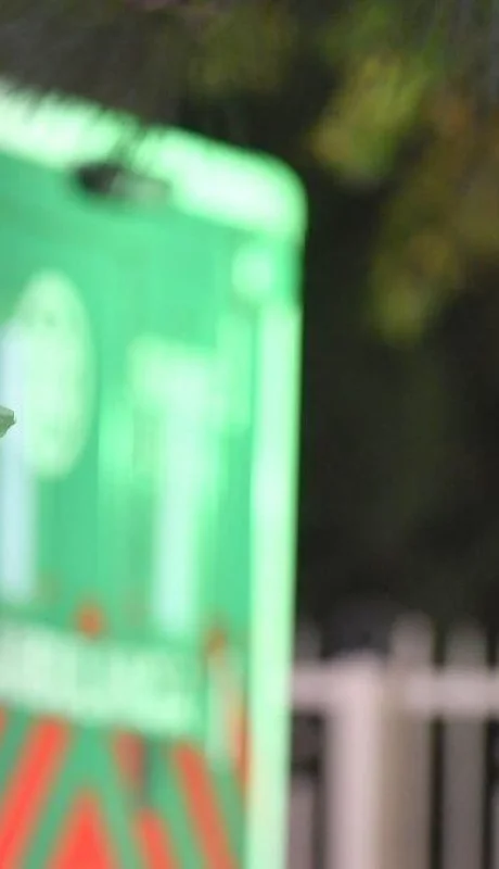 coronavirus-argentina