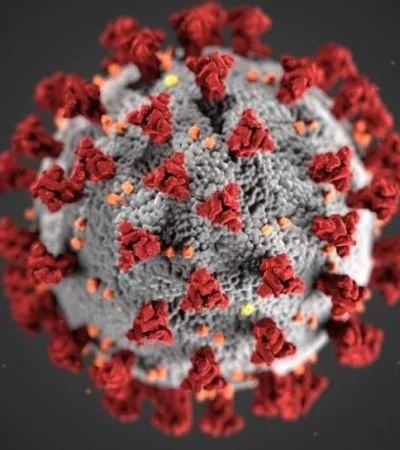 coronavirus-cepas-contagios-estudios-3