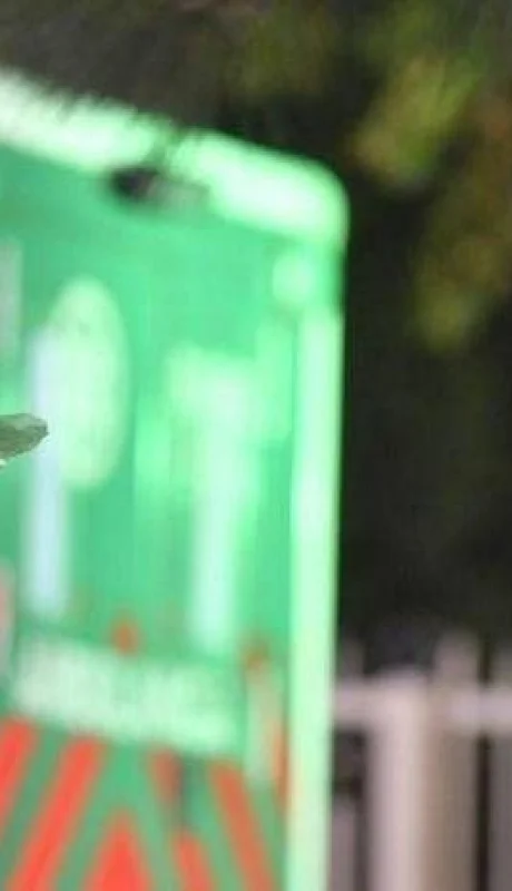 Argentina-coronavirus