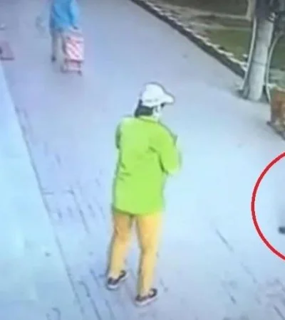 gatos-edificio-caída-video-viral-cabeza-