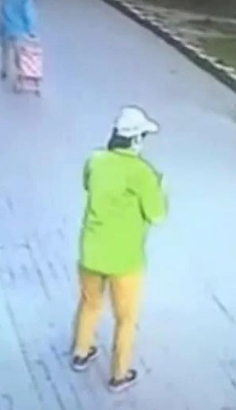 gatos-edificio-caída-video-viral-cabeza-