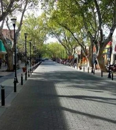 WhatsApp-Image-2020-08-06-at-07.34.27