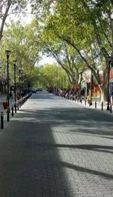 WhatsApp-Image-2020-08-06-at-07.34.27