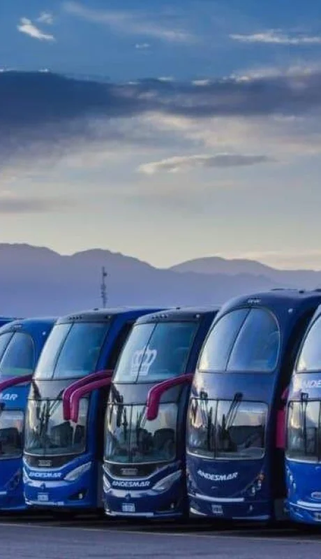 WhatsApp-Image-2020-08-25-at-7.32.20-PM