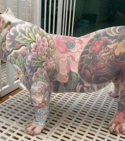perro-tatuado