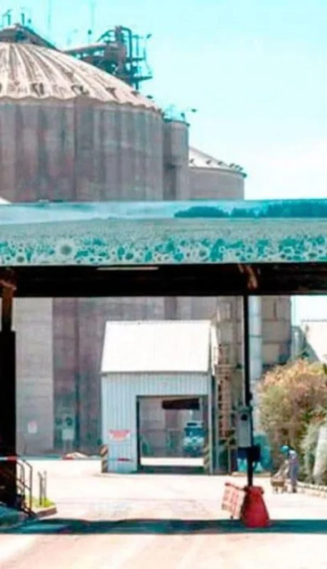 La particular propuesta que presentaron dos empresas para adquirir Vicentin