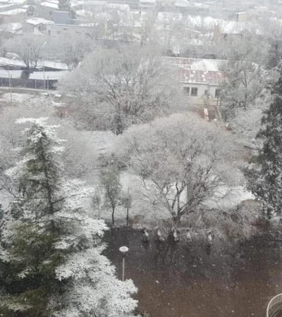 WhatsApp-Image-2020-08-19-at-09.33.30