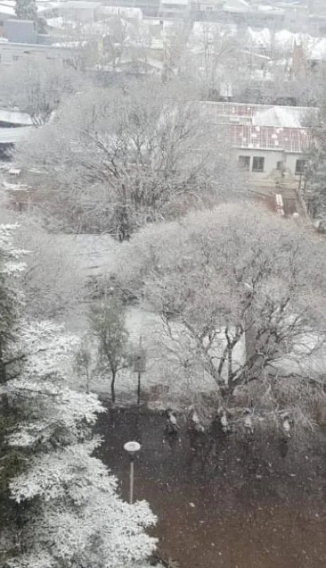 WhatsApp-Image-2020-08-19-at-09.33.30