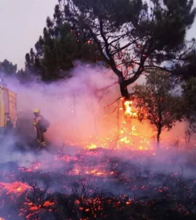 Incendios