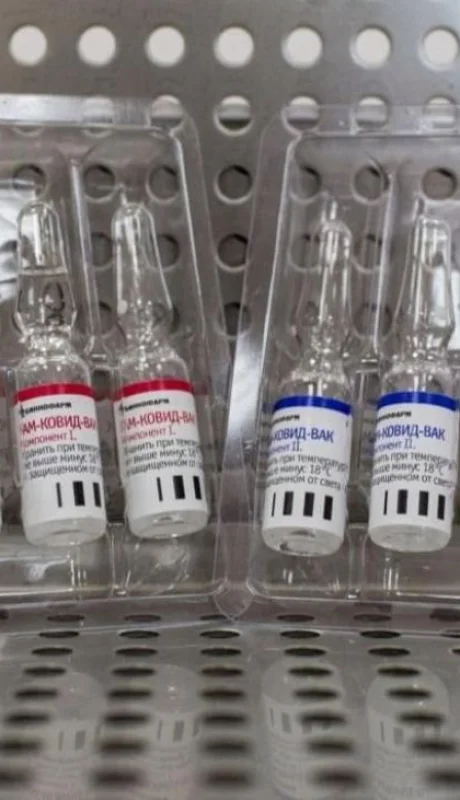 WhatsApp-Image-2020-08-11-at-09.48.20