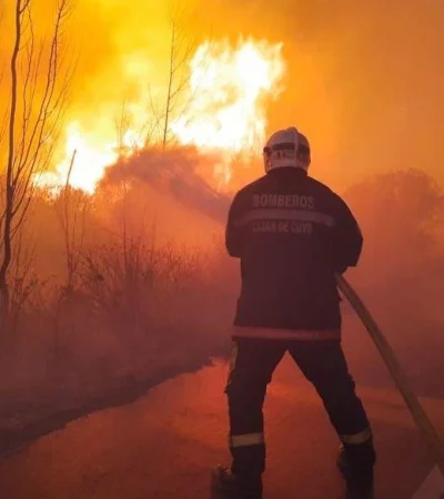 Incendio-el-carrizal-3