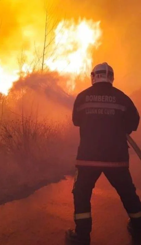 Incendio-el-carrizal-3