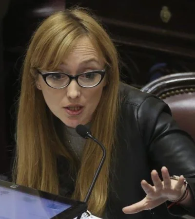 La mendocina Anabel Fernández Sagasti fue cuestionada en el Canal TN.