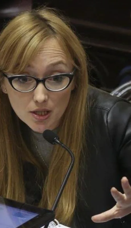 La mendocina Anabel Fernández Sagasti fue cuestionada en el Canal TN.