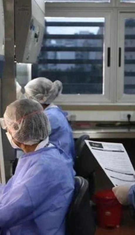 coronavirus-argentina