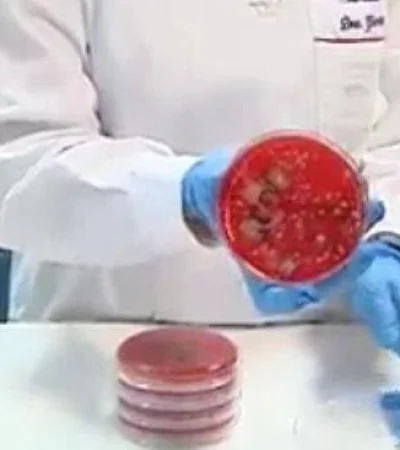 WhatsApp-Image-2020-08-11-at-17.49.59