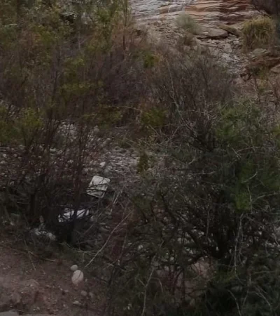 IMG-20200816-WA0045~2