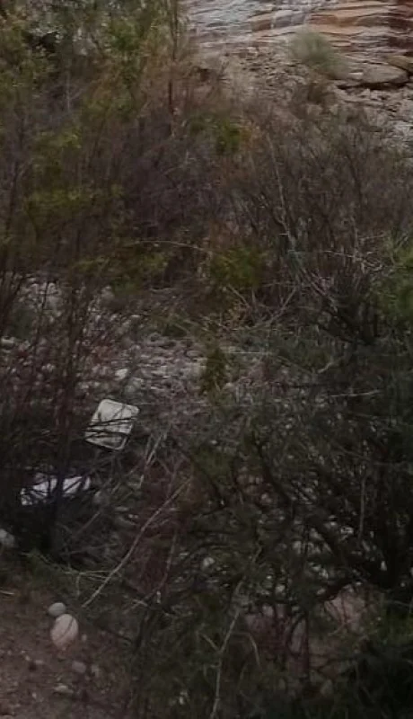 IMG-20200816-WA0045~2