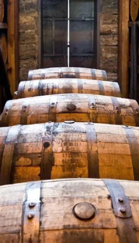 Elaboración-de-vinos