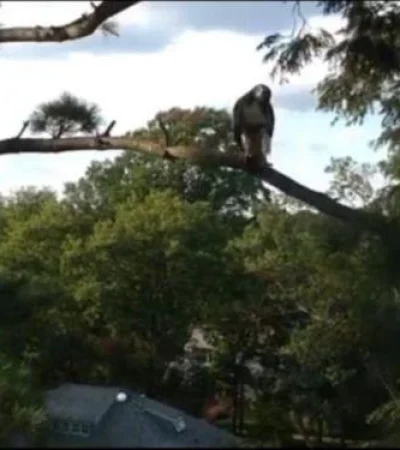 WhatsApp-Image-2020-09-18-at-13.53.25