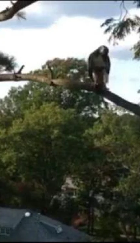 WhatsApp-Image-2020-09-18-at-13.53.25