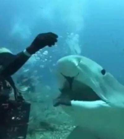 WhatsApp-Image-2020-09-30-at-13.28.59