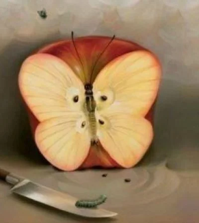 QMZHBDSE5JDXHKEF4IDCFBPNV4