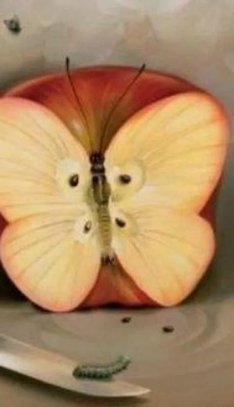 QMZHBDSE5JDXHKEF4IDCFBPNV4