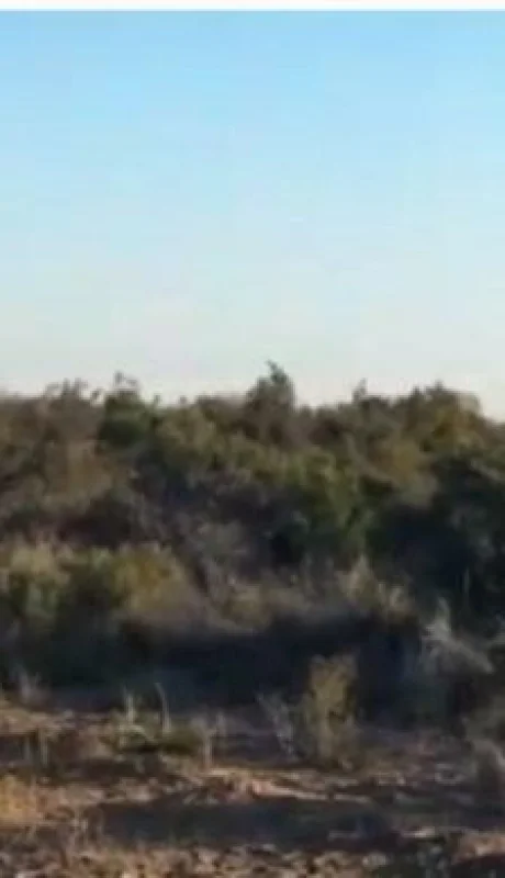 Screenshot_20200910-212556~2