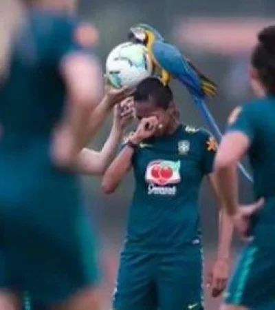 WhatsApp-Image-2020-09-21-at-17.11.46