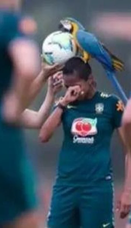 WhatsApp-Image-2020-09-21-at-17.11.46