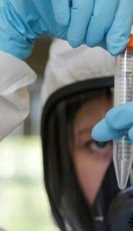 anticuerpo-coronavirus