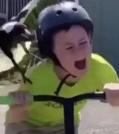 WhatsApp-Image-2020-09-29-at-10.52.12