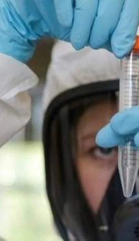 anticuerpo-coronavirus