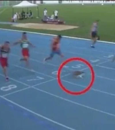 WhatsApp-Image-2020-09-15-at-17.24.22