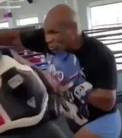 tyson-vuelve-a-pelear