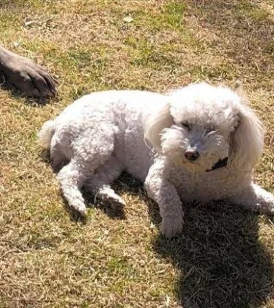 WhatsApp-Image-2020-10-07-at-12.22.24