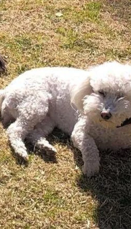 WhatsApp-Image-2020-10-07-at-12.22.24