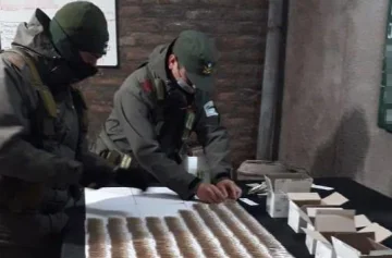 Camionero proveniente de Chile fue detenido con 800 ampollas de efedrina