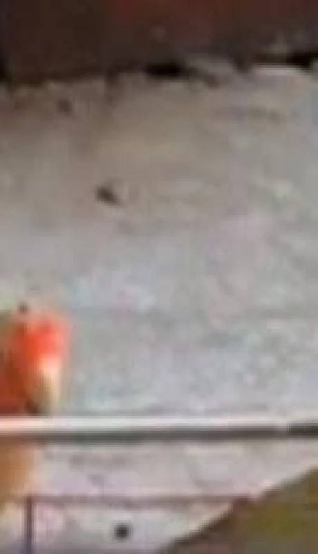 SMJ4BMA5FVASLJJKSXVNXYARTM