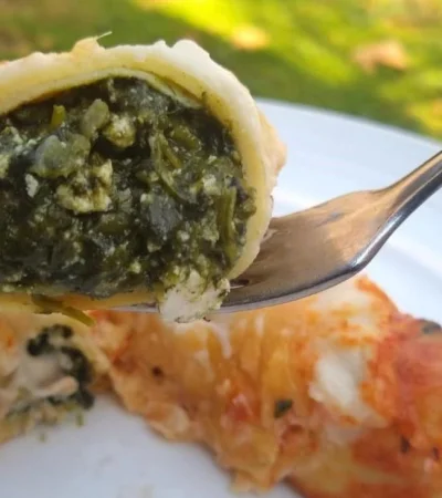 Receta-Nº-24---Canelones---Portada