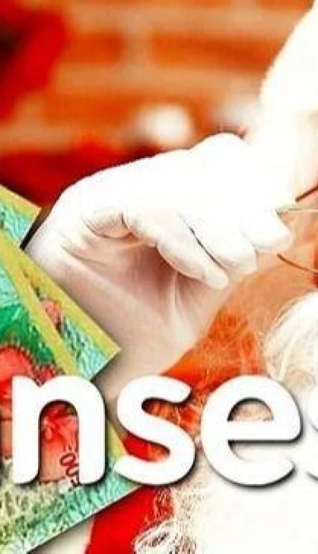 BONO-Navideño-IFE-Fin-De-Año-ANSES