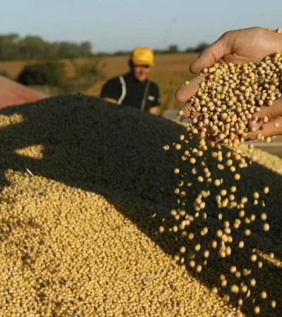 soja-impuestos-argentina