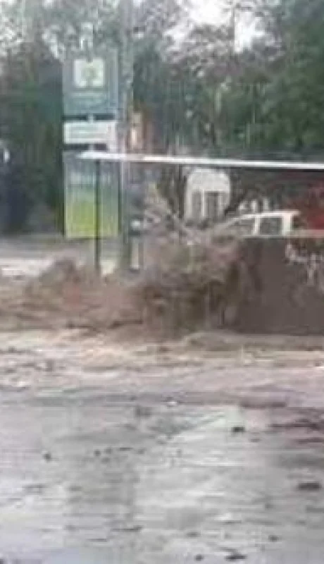 Screenshot_20201112-203910~2