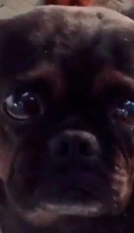 DANDSM77FZDHDLZPRYVLSIHFJE