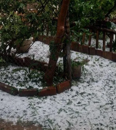 WhatsApp-Image-2020-11-12-at-5.09.20-PM