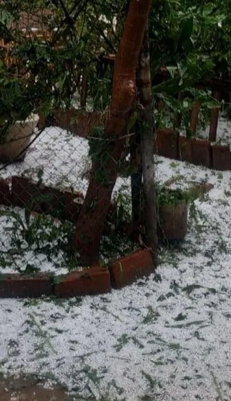 WhatsApp-Image-2020-11-12-at-5.09.20-PM