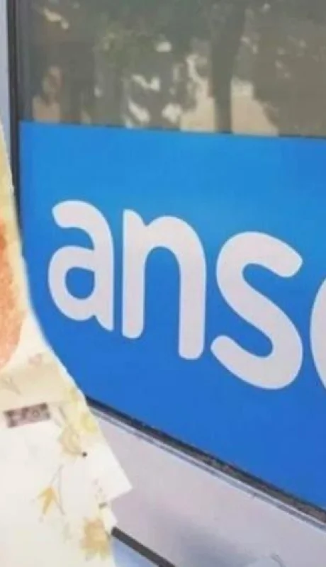 ANSES-Cobro-AUH-noviembre