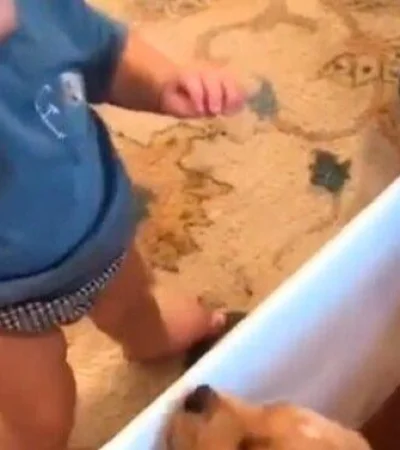 FGWBVXWMTVDTTL6YMMQDJMSREI