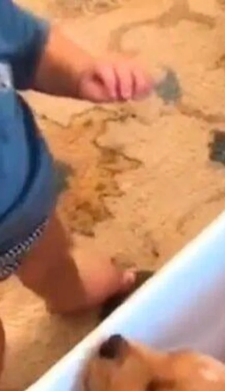 FGWBVXWMTVDTTL6YMMQDJMSREI